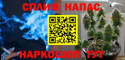 apvp Нягань