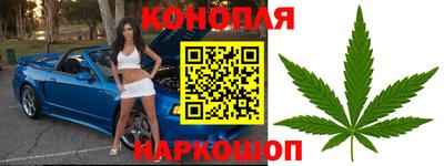 apvp Нягань