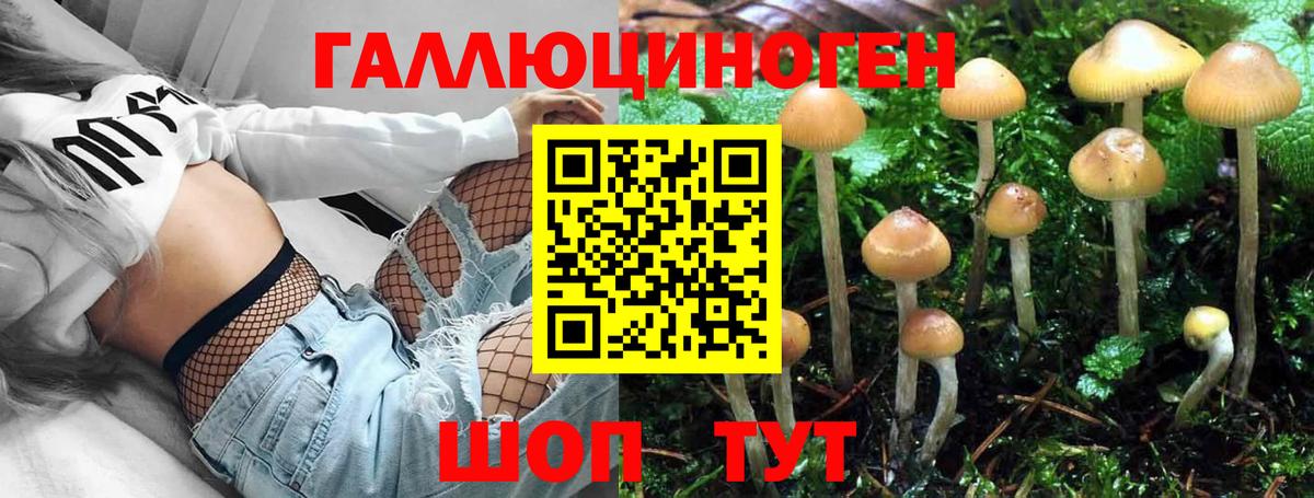 Псилоцибиновые грибы мицелий  Псилоцибиновые грибы Cubensis  Саров  цена наркотик  Вход с VPN 