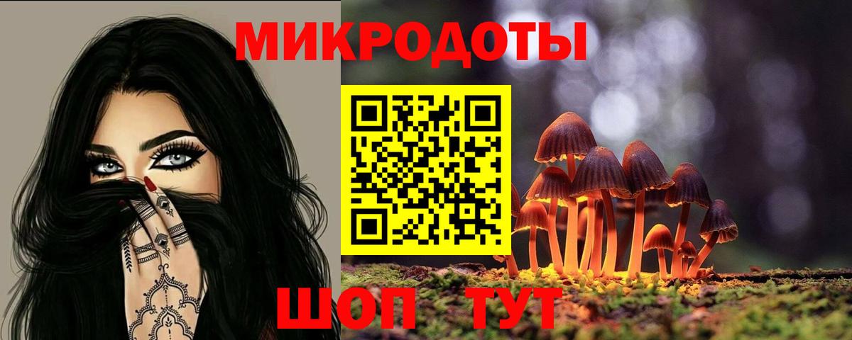 Галлюциногенные грибы Psilocybine cubensis Саров